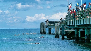 Veranstaltungen rund um die Seebrücke