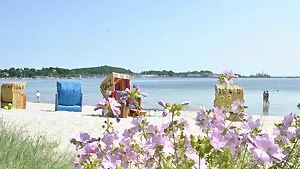 Strand Eckernförde