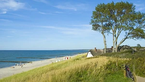 Windflüchter und Reetdächer