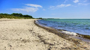 Naturstrand Fehmarnsund