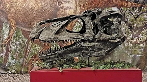 Dinosaurierausstellung