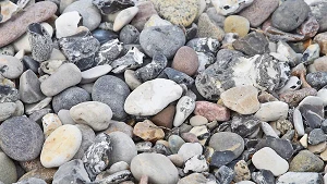 flint stone fields on the island of Ruegen