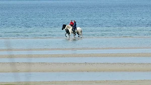 Reiten am Strand