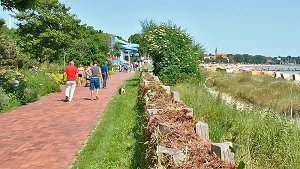 Faschinen an der Promenade in Eckernförde