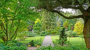 Botanischer Garten Christiansberg – Schattenpflanzen