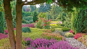 Botanischer Garten Christiansberg – Heidegarten